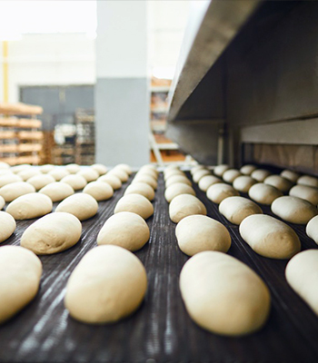 Commercial electric oven: can you choose the right one?